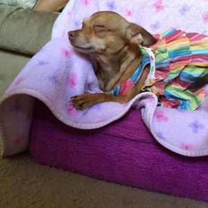 Meet your Posher, Michelle